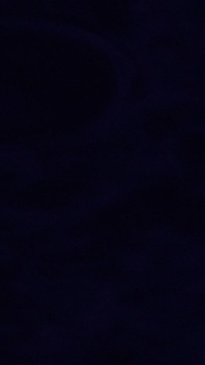 Deep Forest - Burning Tour 2024 #deepforest | Deep Forest