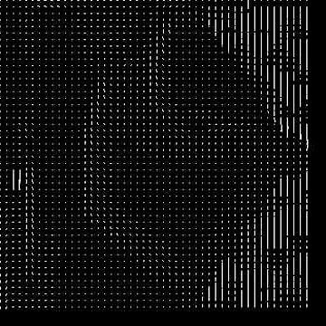 Python Fluid Simulation (Step 1)
