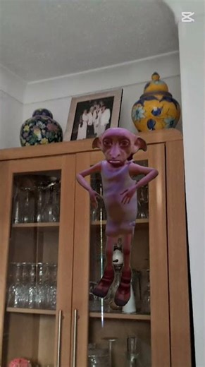 dobby dancing in my house😭