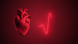 Heart Beating Animation. Heart Rate Glowing Lines. Heart Pumping. 4K