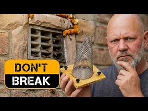 I Removed 5,000 Bees With Just a Box and Patience