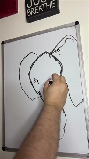 Elephant Drawing on Whiteboard #art #whiteboard #drawing #animals #elephants