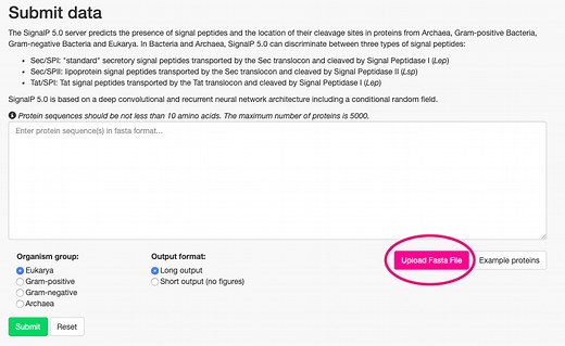 バイオインフォマティクス初心者のためのSignalPの使い方。シグナル配列を予測しよう！ | とある農学博士学生のブログ