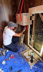 😱 50,000 Bees Flooded Out of This Wall You can watch this entire rescue here! https://tinyurl.com/v96ym65z #savethebees #construction #animals #bugs #contractor #bee #rescue #safetyfirst | Mr. Mrs. Bee Rescue
