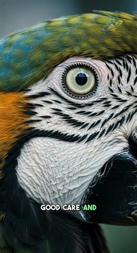 Parrots Live Longer Than You Think