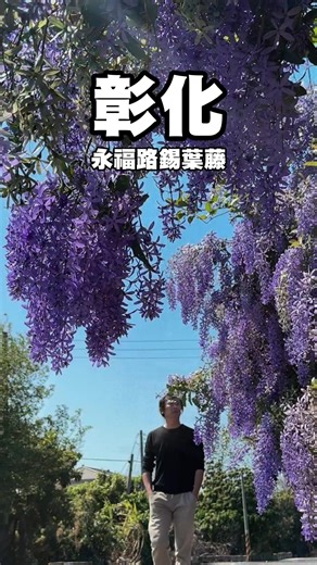 親子旅遊指南：探索彰化的錫葉藤