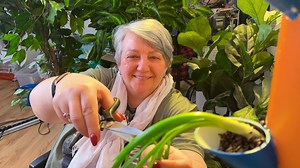 7.3K views · 21 reactions | Easy Aquaponics for Seniors  | 3-Minute Hacks | Facebook