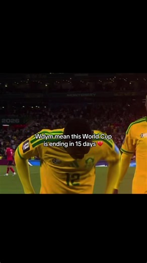 World Cup Ending Soon: 15 Days Left of the Tournament