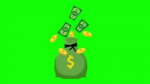 Exploding Money Bag Flying Bills Coins Stock Footage Video (100% Royalty-free) 3914397705 | Shutterstock