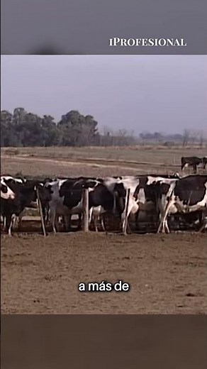 Histórica marca de leche y quesos no cumple pagos y sus plantas están paralizadas