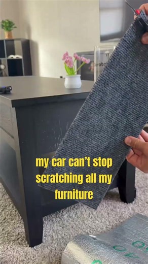 Your cat isn’t the problem🐾🐱 Your setup is👀 ScratchPaws=instant solution ✅ #cat