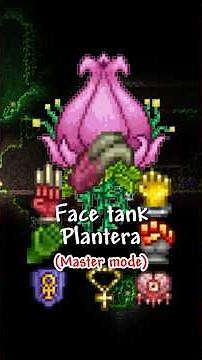 Face tank Plantera (Master mode)