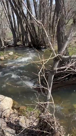 Park City Utah's Scenic Water Wonderland #Nature #TravelVlog