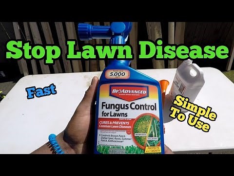 How to Stop Lawn Fungus/Disease| How to Use Bio Advanced Hose End Sprayer