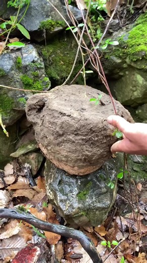 Mastering Gold Mining Techniques for Beginners