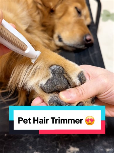 Best Pet Hair Trimmer for Your Dog