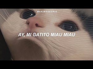 Princesita Kelly - Ay Mi Gatito (Lyrics) || ay, mi gati meau meau tiktok