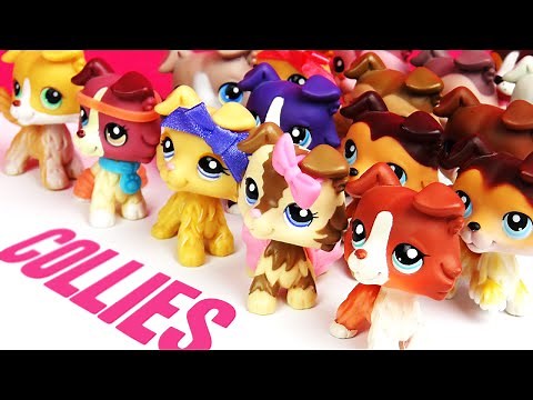 All My LPS Collies! [UPDATED]