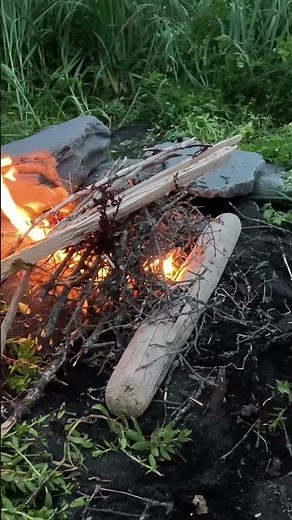 Bear Tracks Lead to a Night of Survival in the Wild!