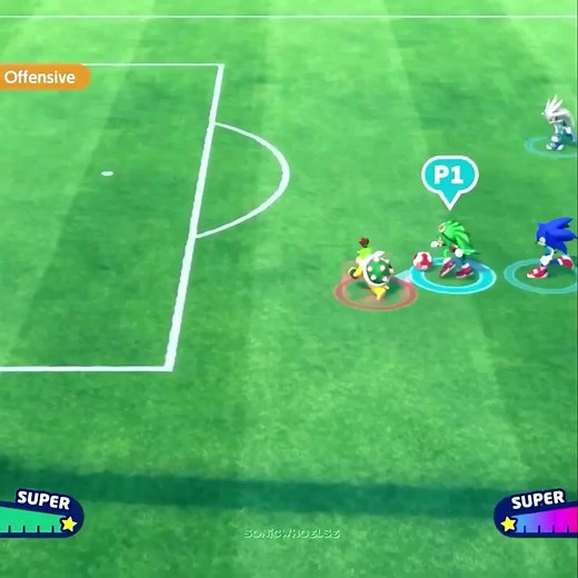 Jet the Hawk: A Soaring Star on Social Media