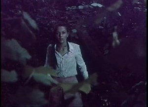 In The Devil's Garden aka Assault (1971) TV Spot