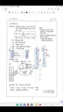 2. 광합성 산물 생성 이동 저장 (중2 과학, 2022개정) - 우짜 우짜 암기법 #automobile #교육공학 #korean
