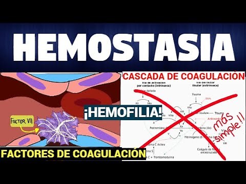 TODO SOBRE HEMOSTASIA Y CASCADA DE COAGULACIÓN 🌊🔴 |Súper fácil|