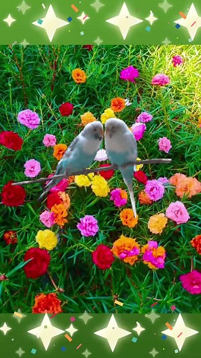 Colorful Parakeets Interacting in a Vibrant Garden