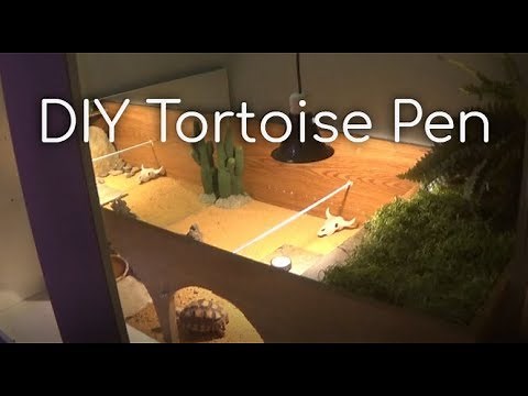 Indoor Tortoise Enclosure (DIY)
