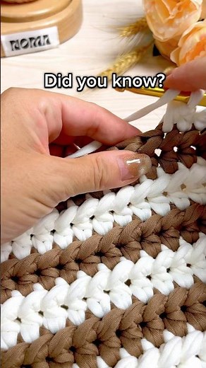 Half Double Crochet Texture Trick 🧶💫