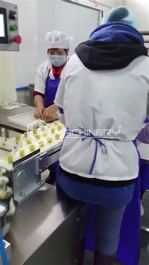 Fully Automatic Sio May Forming Machine ／ LS SMART MACHINERY