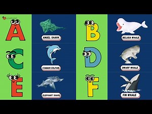 🐳 ABC Sea Creature Song | Whale & Shark Alphabet Learning for Toddlers & Preschoolers #abcd #kids