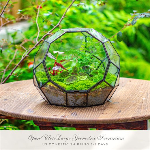 US Domestic Handmade Moon Glass Terrarium, Open/close Planter, Geometric Propagation Station (terrarium Only) - Etsy