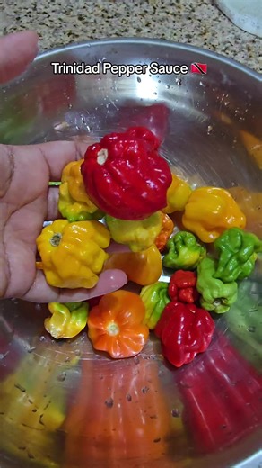 Authentic Trinidad Pepper Sauce Recipe