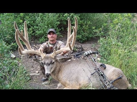 World Record Archery Mule Deer - Chad Kulow - MossBack