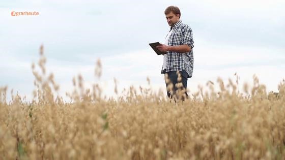 Biobauern verdienen kein Geld: Ökolandbau wächst nicht weiter – Biopreise fallen auch