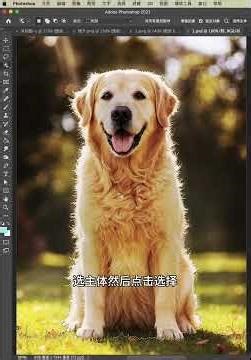 A comprehensive collection of Photoshop background removal techniques! #pstutorial #psskills #Pho...