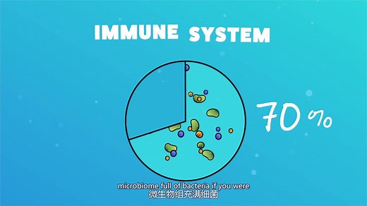 【中英字幕】益生菌科普_How Probiotics Work