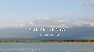 Kenya is largely famous for the large populations of big mammals like lions, buffalos, the African bush elephant and many others. Kenya also has a large and varying population of birds. In this video, we take you on a journey to visit the majestic animals in their amazing habitat - Kenya's natural wilderness. LOCATIONS: Amboseli, Masai Mara, Lake Elementaita, Lake Nakuru, Lake Bogoria, Nairobi National Park, Borana Conservancy. | MicroDrone Africa