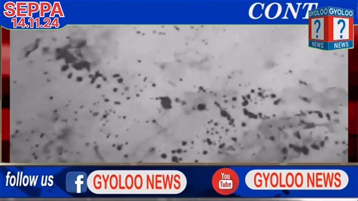 55K views · 1.2K reactions | "Tragic events unfolded on November 14, 2024, at District Hospital Seppa, where an attack left two deceased and five critically injured, including M Geyi, OC PS Seppa, who remains in critical condition. The suspect has been apprehended, and the situation is now under control, as confirmed by SP East Kameng, K. Sikom. | Gyoloo News | Facebook