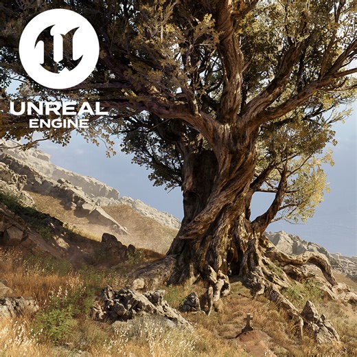 Hero Tree (UE5) - Learning New Skills 02, David J Chan