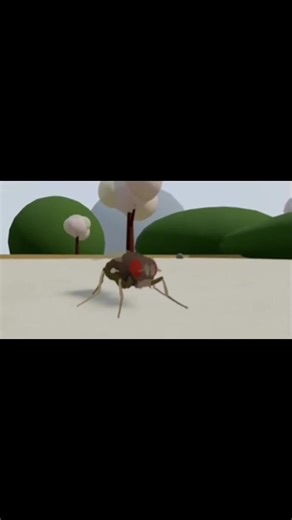 New Breakthrough: Digital Brain of Fruit Fly Created