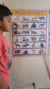 Animal Names #animals #reading #kidslearning