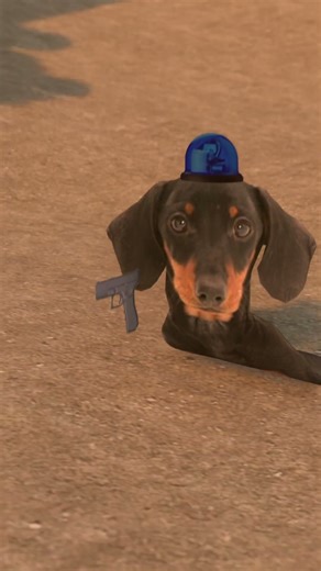 кис гаф кис гаф #blender #анимация #3danimation #animation #cat