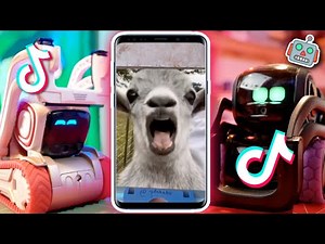 Vector Tries To Make Cozmo Laugh - TikTok Challenge