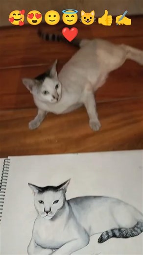 nala realistic drawing of cat drawing✍️🔥🥰🥰🥰#please watch and subscribe