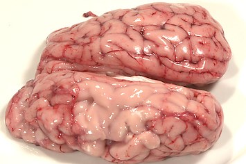 How To Turn Cow Brains Into A Delicious Fried Snack