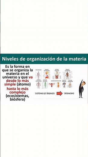 Biología 1- Niveles de Organización de la Materia: Aparatos y Sistemas, Organismo.