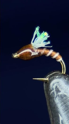 Miracle midge #foryou #flytying #fishing #flyfishing