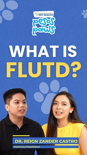 2.7K views · 15 reactions | Is your cat showing signs of Feline Lower Urinary Tract Disease (FLUTD)? Learn the symptoms, treatments, and how to manage costs!   Have you watched the full podcast yet? Check the comment section for the link! #SIPesosAndPawsPodcast #CatHealth #FLUTD #PetCareTips | Standard Insurance | Facebook